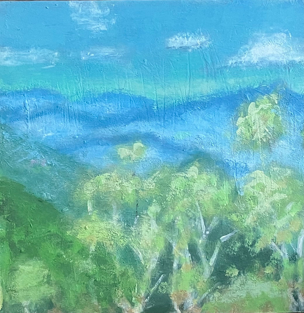 Carolina Mountains